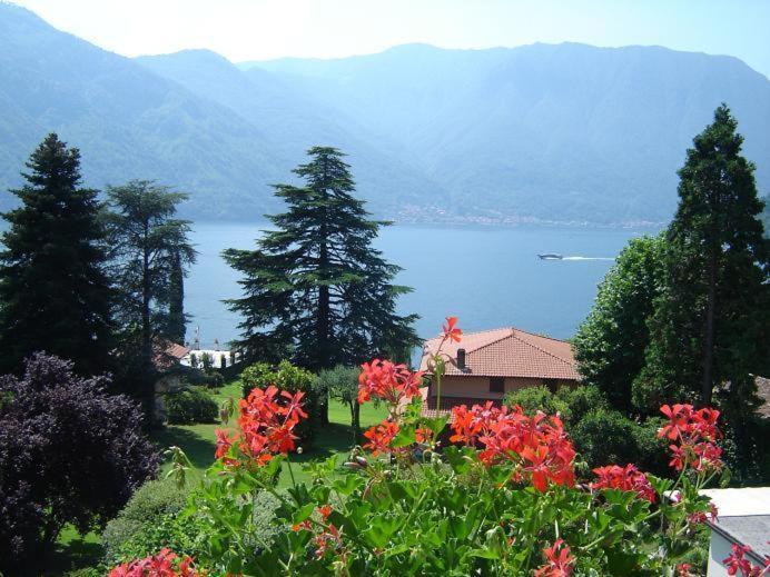 Hotel Lario Mezzegra Exterior photo